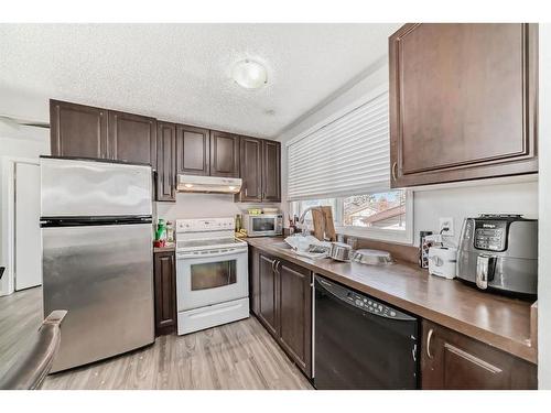 43 Castleridge Way Ne, Calgary, AB - Indoor Photo Showing Kitchen With Double Sink