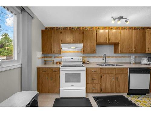 168 Castlegreen Close Ne, Calgary, AB - Indoor Photo Showing Kitchen With Double Sink