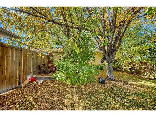 5044 Dalhart Road Nw, Calgary, AB - Outdoor