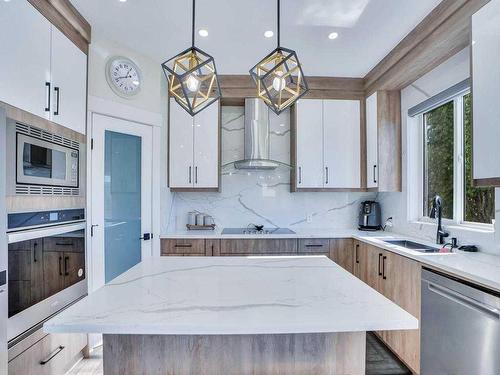 145 Coral Springs Close Ne, Calgary, AB - Indoor Photo Showing Kitchen With Double Sink With Upgraded Kitchen