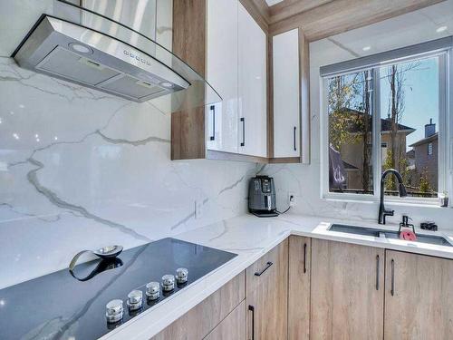 145 Coral Springs Close Ne, Calgary, AB - Indoor Photo Showing Kitchen With Double Sink