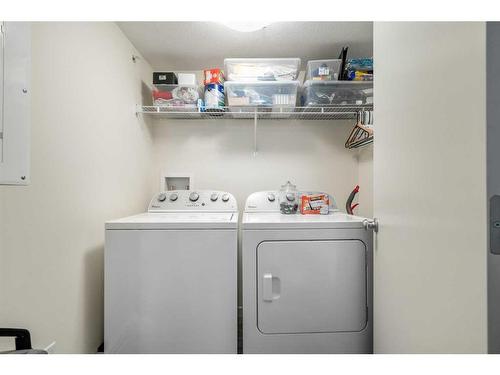 1416-181 Skyview Ranch Manor Ne, Calgary, AB - Indoor Photo Showing Laundry Room