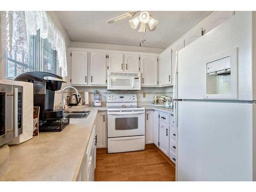 100 Castlegrove Road Ne, Calgary, AB - Indoor Photo Showing Kitchen With Double Sink