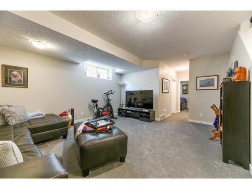 173 Willow Street, Cochrane, AB - Indoor Photo Showing Basement