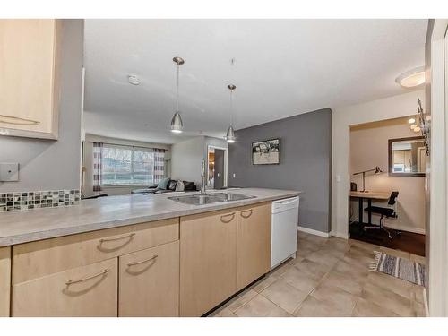 107-5115 Richard Road Sw, Calgary, AB - Indoor Photo Showing Kitchen With Double Sink