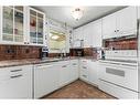 174 Pinemeadow Road Ne, Calgary, AB  - Indoor Photo Showing Kitchen With Double Sink 