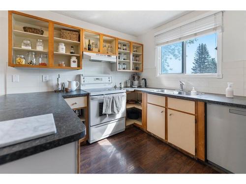 12 Beddington Rise Ne, Calgary, AB - Indoor Photo Showing Kitchen With Double Sink