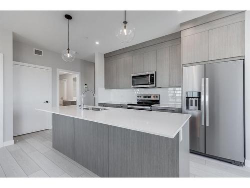 2509-60 Skyview Ranch Road Ne, Calgary, AB - Indoor Photo Showing Kitchen With Stainless Steel Kitchen With Double Sink With Upgraded Kitchen