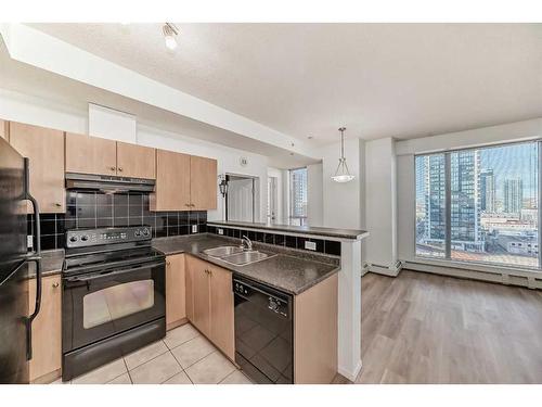 1013-1053 10 Street Sw, Calgary, AB - Indoor Photo Showing Kitchen With Double Sink