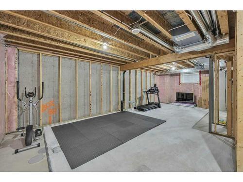 32 Saddlelake Terrace Ne, Calgary, AB - Indoor Photo Showing Basement