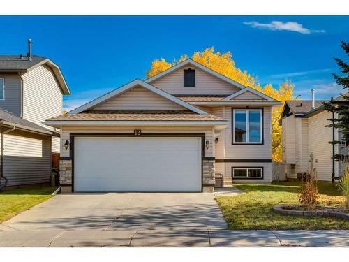 12 Big Springs Rise Se, Airdrie, AB - Outdoor With Facade