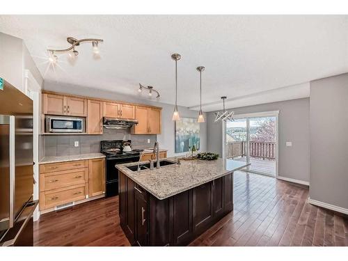 63 Evanston Rise Nw, Calgary, AB - Indoor Photo Showing Kitchen With Double Sink With Upgraded Kitchen