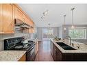 63 Evanston Rise Nw, Calgary, AB  - Indoor Photo Showing Kitchen With Double Sink 