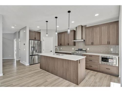 623 Savanna Crescent Ne, Calgary, AB - Indoor Photo Showing Kitchen With Stainless Steel Kitchen With Upgraded Kitchen