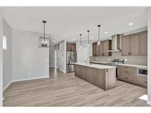 623 Savanna Crescent Ne, Calgary, AB - Indoor Photo Showing Kitchen With Stainless Steel Kitchen With Upgraded Kitchen