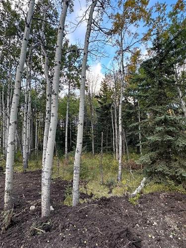 Lot 7 Elkstone Estates, Rural Rocky View County, AB 