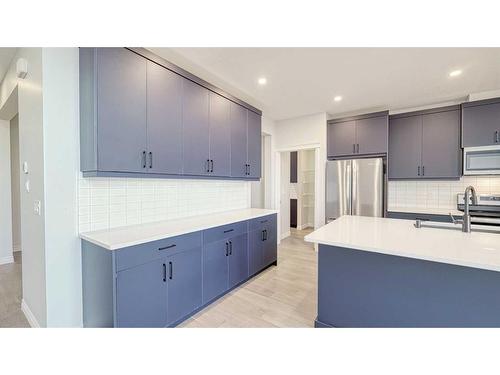 217 Homestead Crescent, Calgary, AB - Indoor Photo Showing Kitchen With Stainless Steel Kitchen