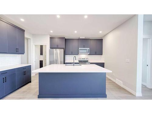 217 Homestead Crescent, Calgary, AB - Indoor Photo Showing Kitchen With Stainless Steel Kitchen With Upgraded Kitchen