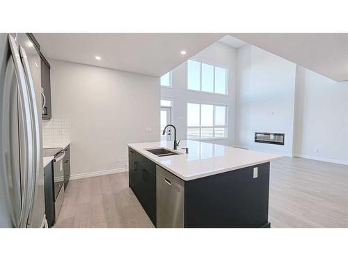 217 Homestead Crescent, Calgary, AB - Indoor Photo Showing Kitchen With Double Sink With Upgraded Kitchen