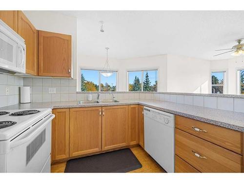 227-1920 14 Avenue Ne, Calgary, AB - Indoor Photo Showing Kitchen With Double Sink