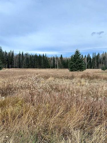 Lot 35-120 James River Landing, Rural Clearwater County, AB 