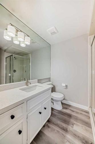 6848 Temple Drive Ne, Calgary, AB - Indoor Photo Showing Bathroom