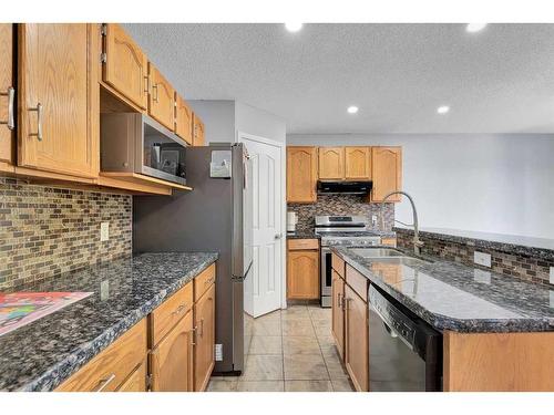 111 Chaparral Ridge Circle Se, Calgary, AB - Indoor Photo Showing Kitchen With Double Sink