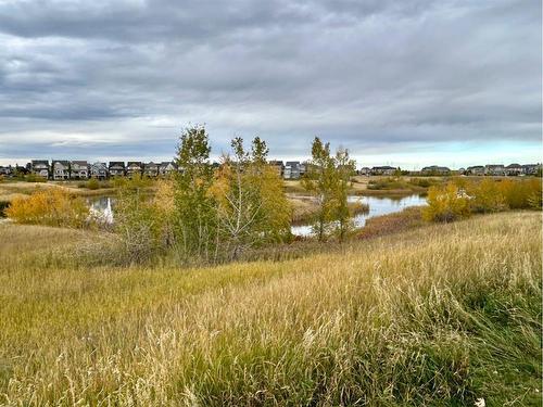 132 Marquis View Se, Calgary, AB - Outdoor With View