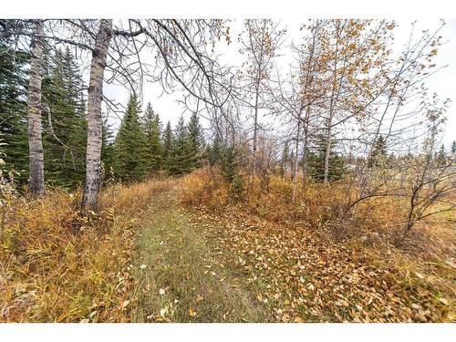 100-186083 Priddis Valley Road West, Rural Foothills County, AB 