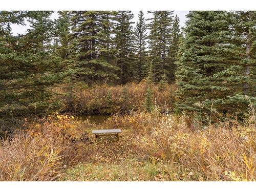 100-186083 Priddis Valley Road West, Rural Foothills County, AB 