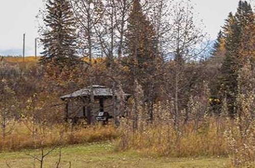 100-186083 Priddis Valley Road West, Rural Foothills County, AB 