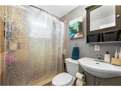 48 Sandpiper Way Nw, Calgary, AB - Indoor Photo Showing Bathroom