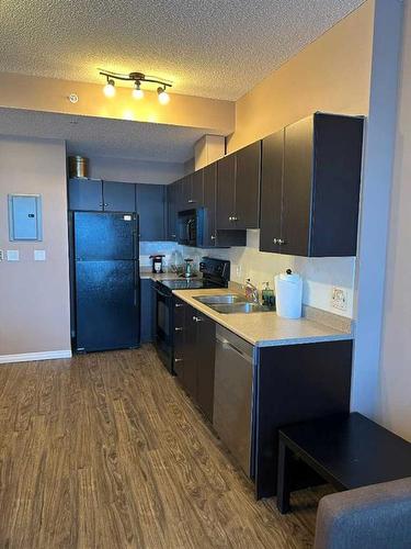 914-1053 10 Street Sw, Calgary, AB - Indoor Photo Showing Kitchen With Double Sink