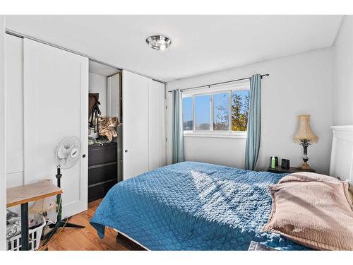 6128 Madigan Drive Ne, Calgary, AB - Indoor Photo Showing Bedroom