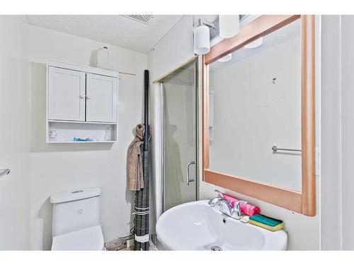 6128 Madigan Drive Ne, Calgary, AB - Indoor Photo Showing Bathroom