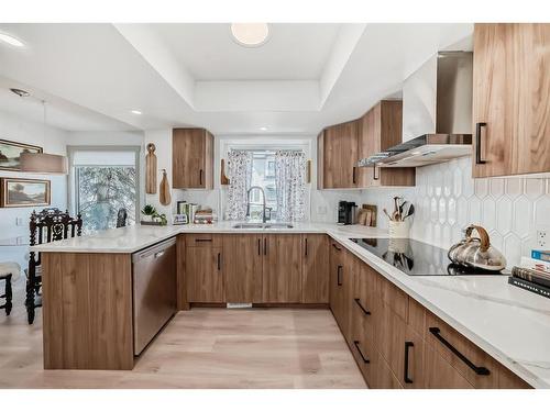 254-4037 42 Street Nw, Calgary, AB - Indoor Photo Showing Kitchen With Double Sink