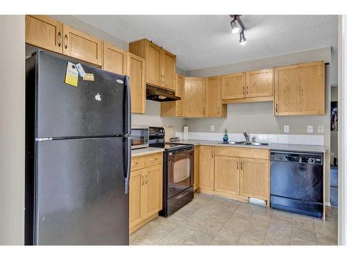 94 Saddlebrook Point Ne, Calgary, AB - Indoor Photo Showing Kitchen With Double Sink