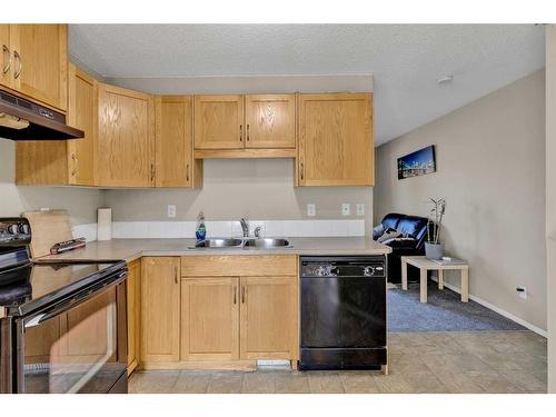 94 Saddlebrook Point Ne, Calgary, AB - Indoor Photo Showing Kitchen With Double Sink