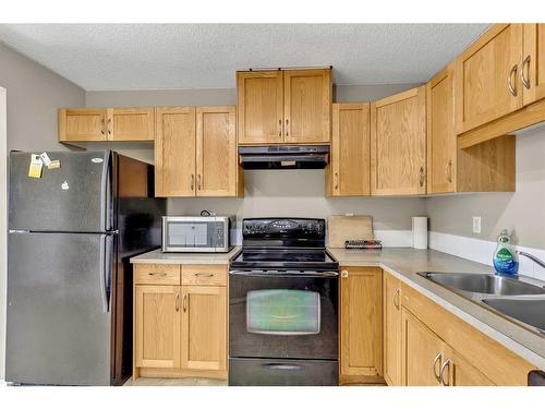 94 Saddlebrook Point Ne, Calgary, AB - Indoor Photo Showing Kitchen With Double Sink