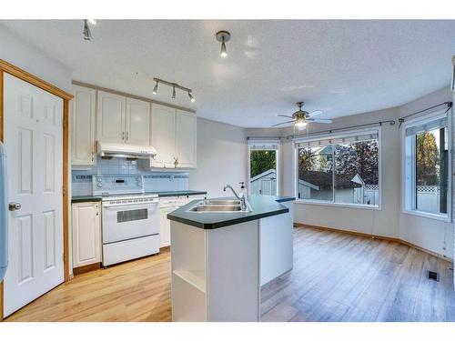 3626 Douglas Ridge Boulevard Se, Calgary, AB - Indoor Photo Showing Kitchen With Double Sink