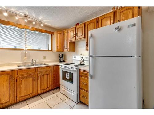 311 Temple Close Ne, Calgary, AB - Indoor Photo Showing Kitchen With Double Sink