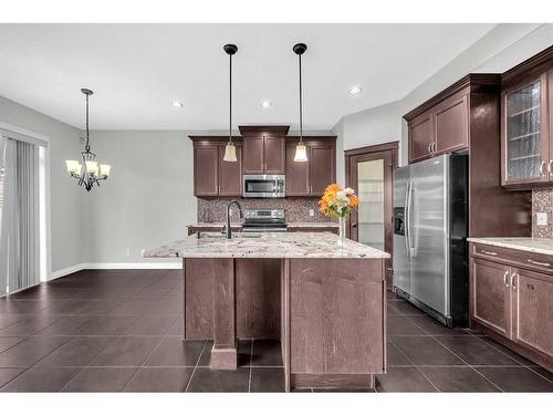 129 Saddlelake Green Ne, Calgary, AB - Indoor Photo Showing Kitchen With Stainless Steel Kitchen With Upgraded Kitchen