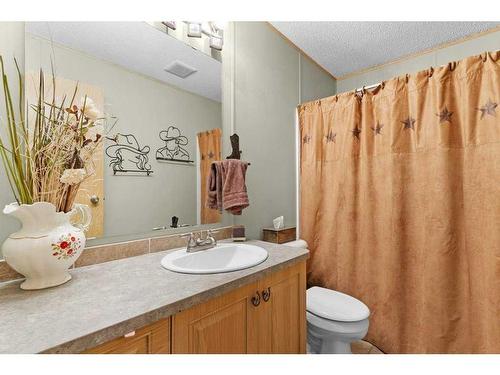 30313 Range Road 13, Rural Mountain View County, AB - Indoor Photo Showing Bathroom