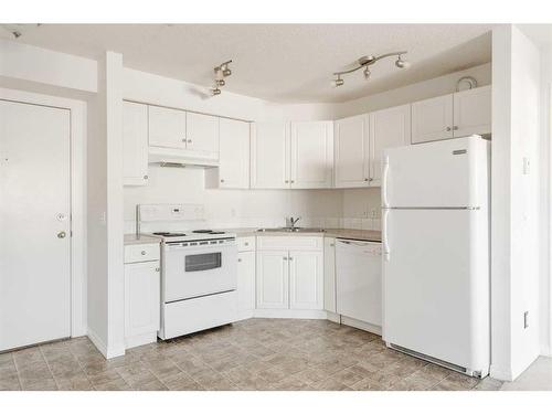 201-2000 Applevillage Court Se, Calgary, AB - Indoor Photo Showing Kitchen With Double Sink