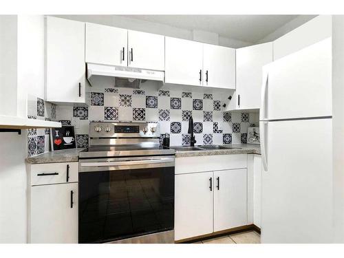 103-1712 38 Street Se, Calgary, AB - Indoor Photo Showing Kitchen With Double Sink