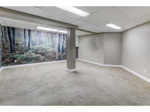 61 Coventry Close Ne, Calgary, AB - Indoor Photo Showing Basement