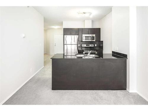 1102-325 3 Street Se, Calgary, AB - Indoor Photo Showing Kitchen