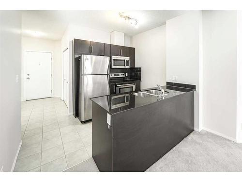 1102-325 3 Street Se, Calgary, AB - Indoor Photo Showing Kitchen With Double Sink