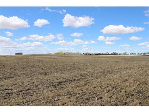 292 Rr292 Acres, Rural Rocky View County, AB 