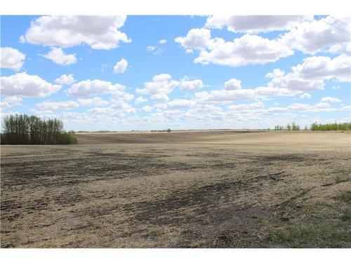 292 Rr292 Acres, Rural Rocky View County, AB 